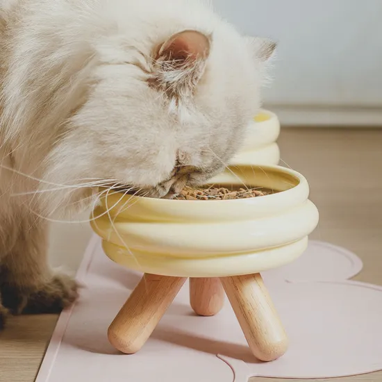 Cuenco de cerámica colorido para perros y gatos con protección de red y pie de madera alto