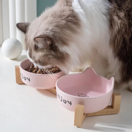 Cuenco de cerámica para perros y gatos con estante de madera de bambú