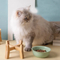 Nórdico - cuenco de cerámica del snack del animal doméstico del estilo con el alto - pie de madera para el perro y el gato