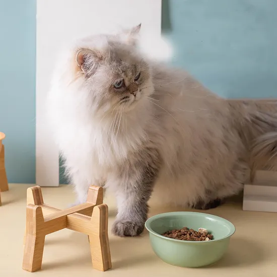 Nórdico - cuenco de cerámica del snack del animal doméstico del estilo con el alto - pie de madera para el perro y el gato