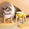 Cuenco de cerámica para perros y gatos con protección para el cuello para alimentar agua y comida