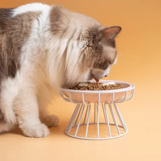 Cuenco de agua de cerámica para mascotas con protección del cuello y patas altas de metal para perros y gatos
