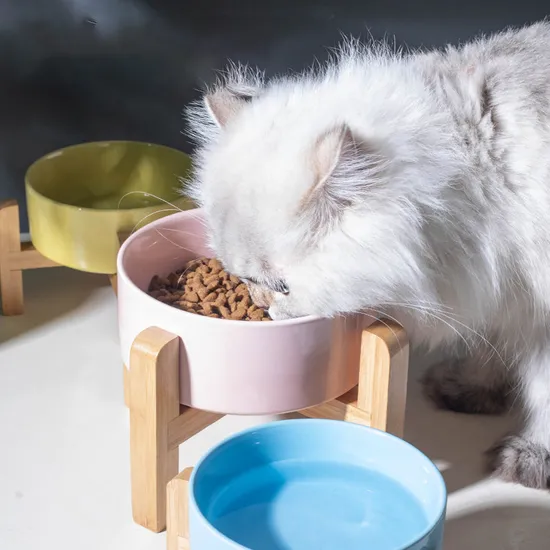 Cuenco de comida para perros y gatos de cerámica con protección para el cuello y rejilla de bambú