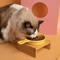 Olla de cerámica con fondo plano, cuenco para gatos, cuenco para alimentación lenta, cuenco para beber con asa y soporte de bambú